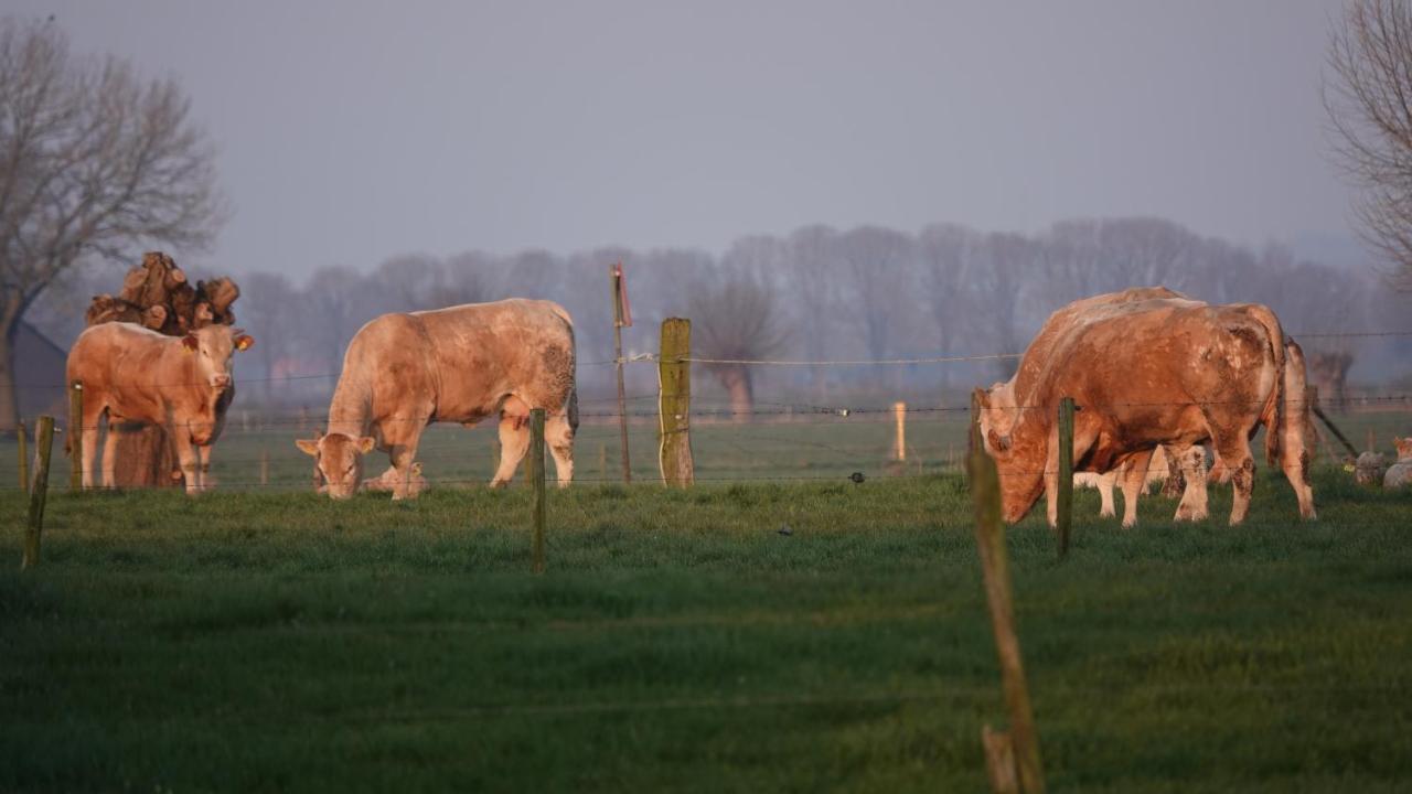B&B Bij Bronckhorst Steenderen Exterior foto